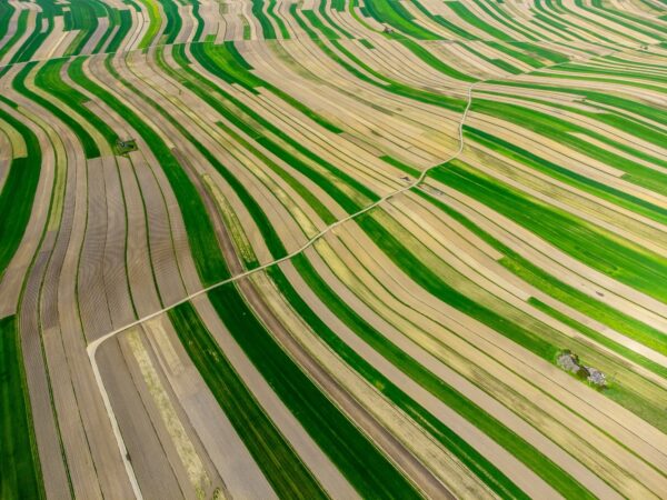 Plowed fields. Dawid Zawila, Unsplash