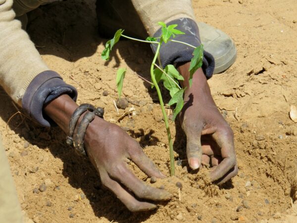 Senegal is one of the Least Developed Countries we supported in the INDC formulation process.
