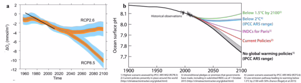 Global deoxygenation