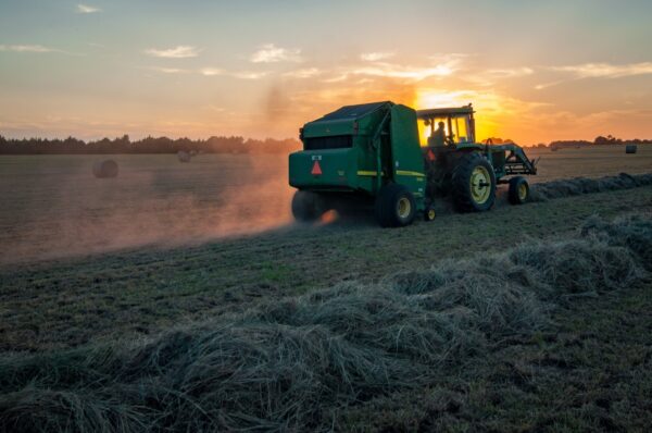 Making hay