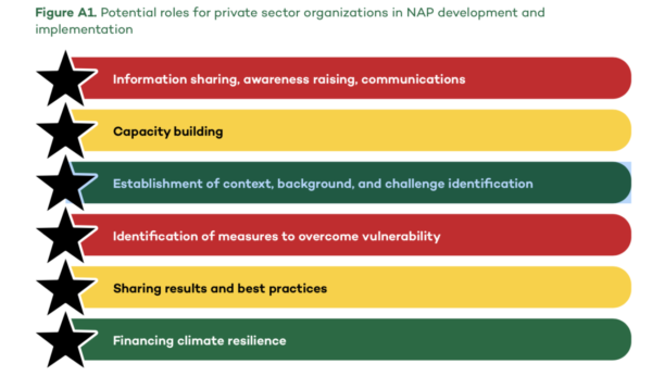 Potential roles for private sector organizations in NAP development and implementation