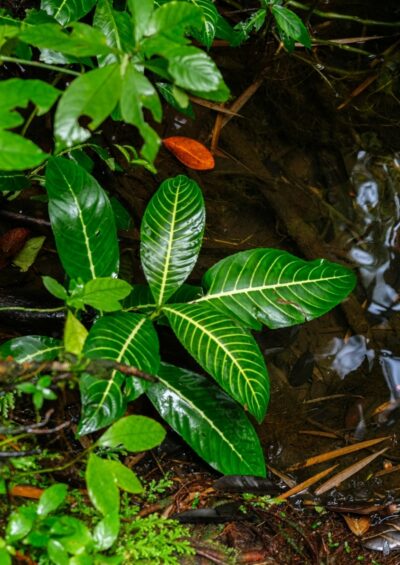 Sarah sheedy, unsplash