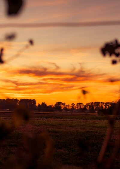 Trajectories to a ‘1.5 °C warmer world’ may result in vastly different outcomes at regional scales