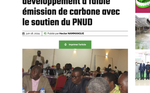 Togo validates its low-carbon development vision