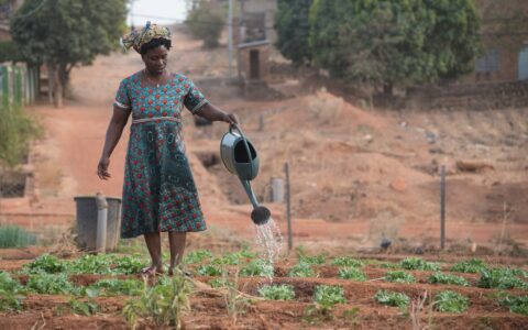 A woman watering her garden, Natitinqou, Bénin by Philippe Baret, Unsplash
