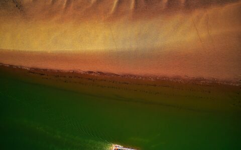 Climate Analytics scientists have served as guest editors for journal regional environmental change.