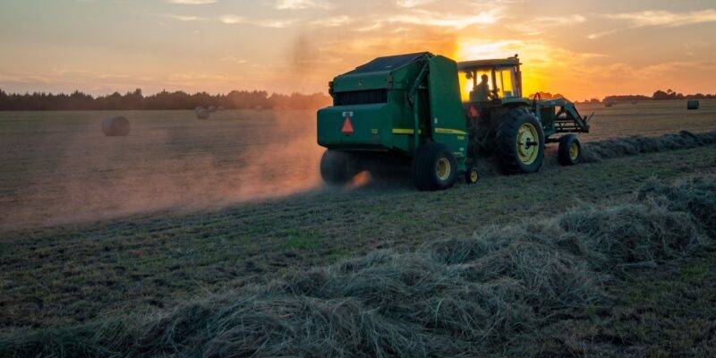 Making hay