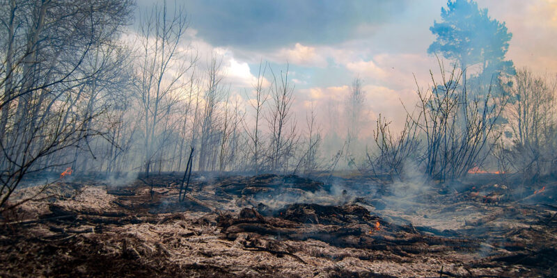 Scorched earth, Adobestock