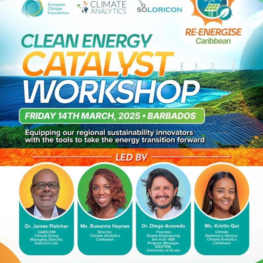 Clean energy catalyst workshop