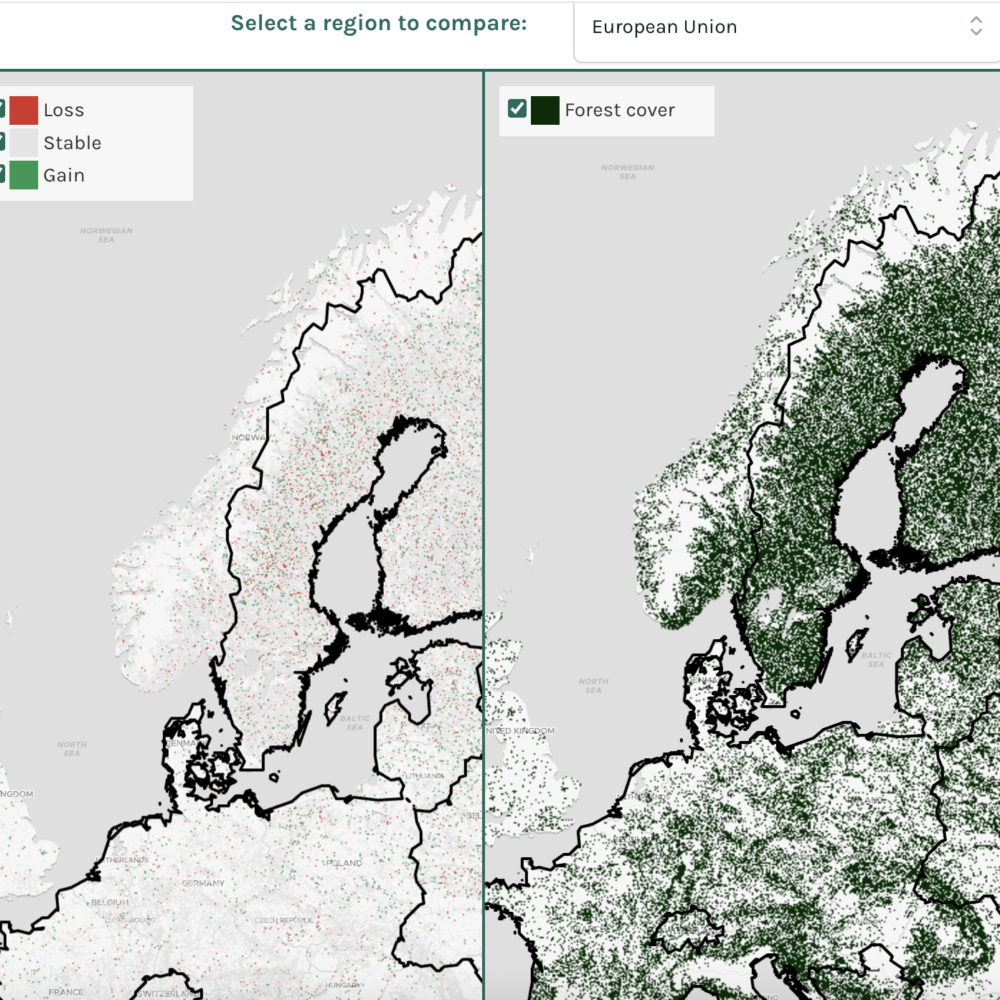 ForestNavigator Data Explorer