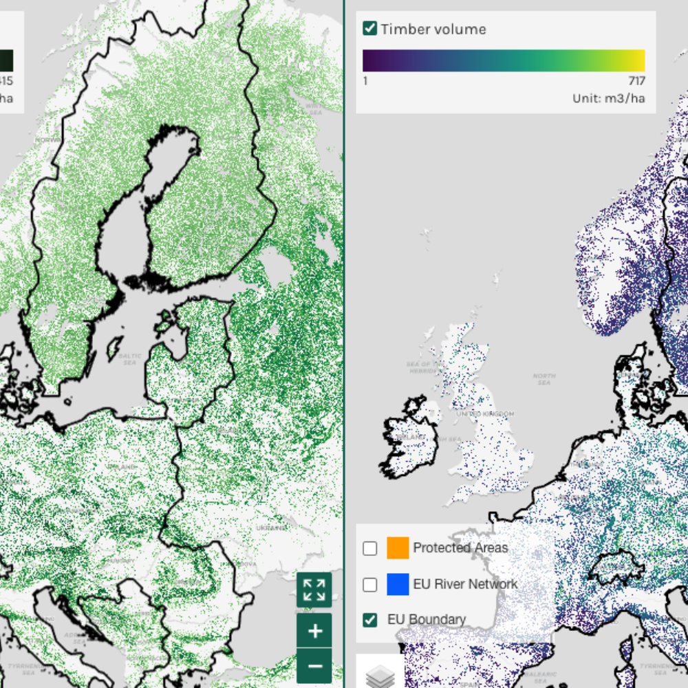 ForestNavigator Data Explorer 2