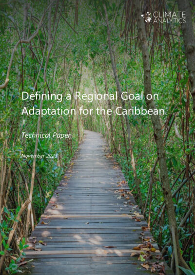 Defining a Regional Goal on Adaptation for the Caribbean