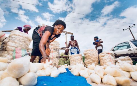 Women sell fufu at market in Abuja, Nigeria. ©IFPRI/Milo Mitchell, Flickr (CC BY-NC-ND 2.0 DEED)