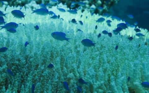 1.5°C vs 2°C global warming – new study shows why half a degree matters