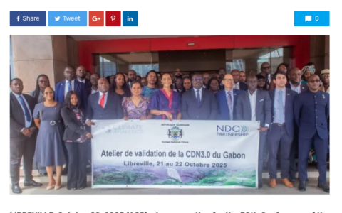 Climat/COP30 : le Gabon affine sa Contribution Déterminée au niveau National 3.0