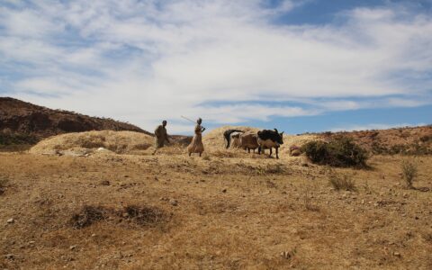 Risks of water and food insecurity in the Horn of Africa Drylands