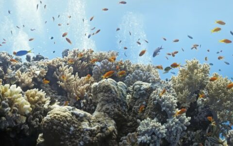 UN report: 1.5°C limit to improve growth, jobs and safety