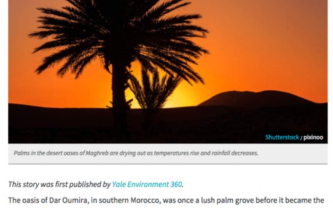 Saharan oases struggle as climate change takes a toll