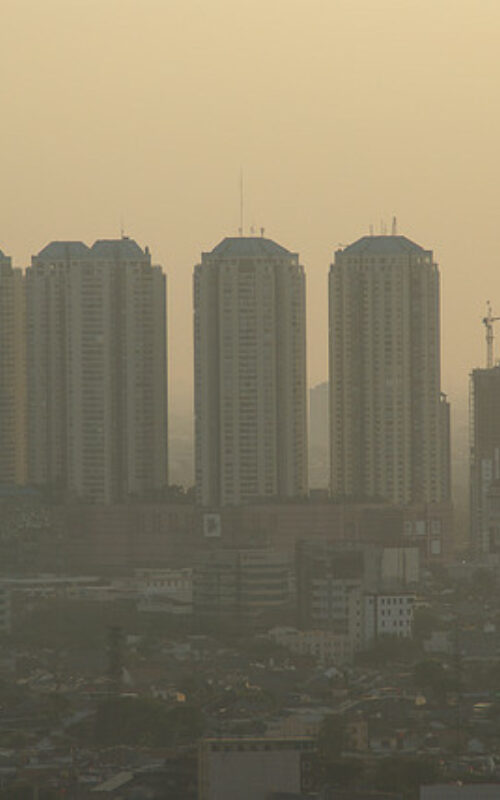 Indonesia’s climate plans lack transparency and credibility