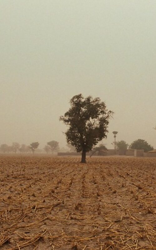 Climate-related disasters increase risks of conflict in vulnerable countries, research shows