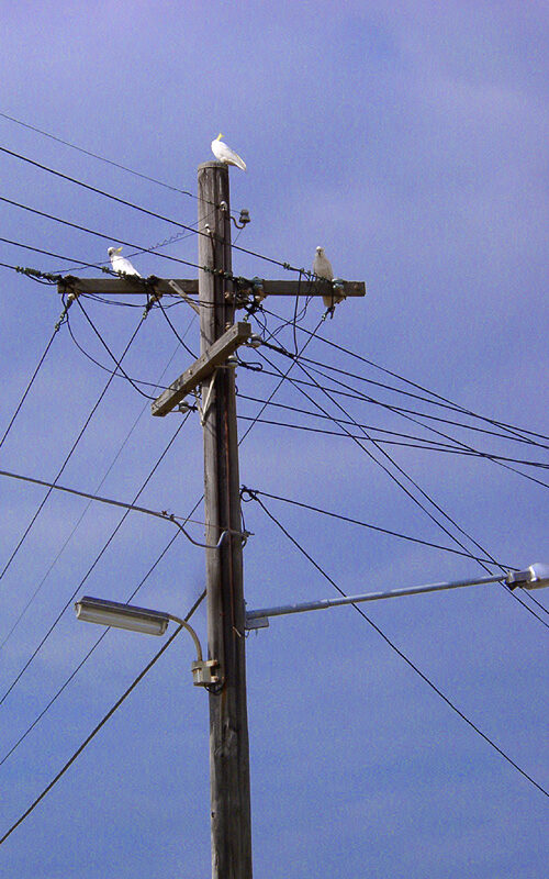 Australia’s clean electricity transition falling well behind other comparable nations: analysis