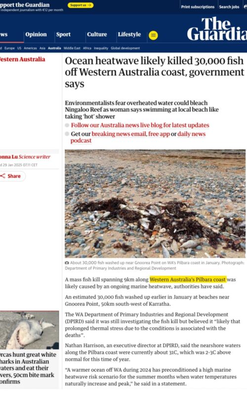 Guardian screenshot ocean heatwave