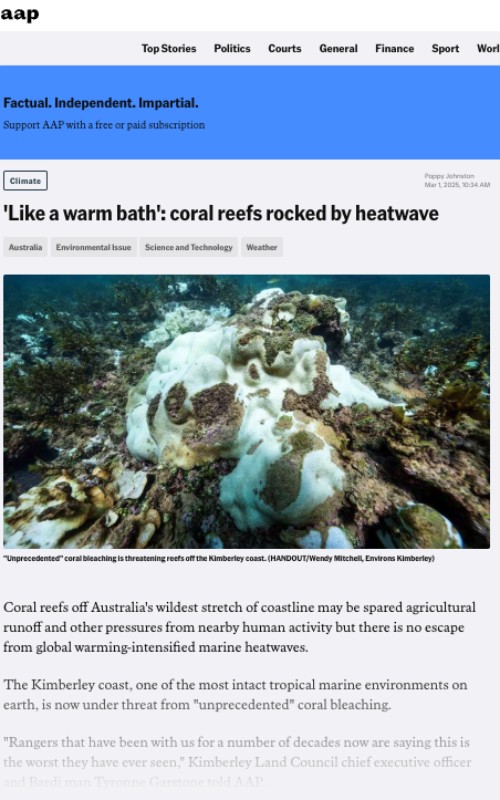 Screenshot 2025 03 03 at 14 26 52