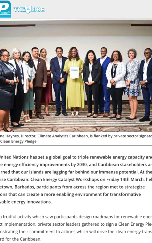 Caribbean Energy and Environmental Stakeholders Pledge to Take Renewable Transition Forward