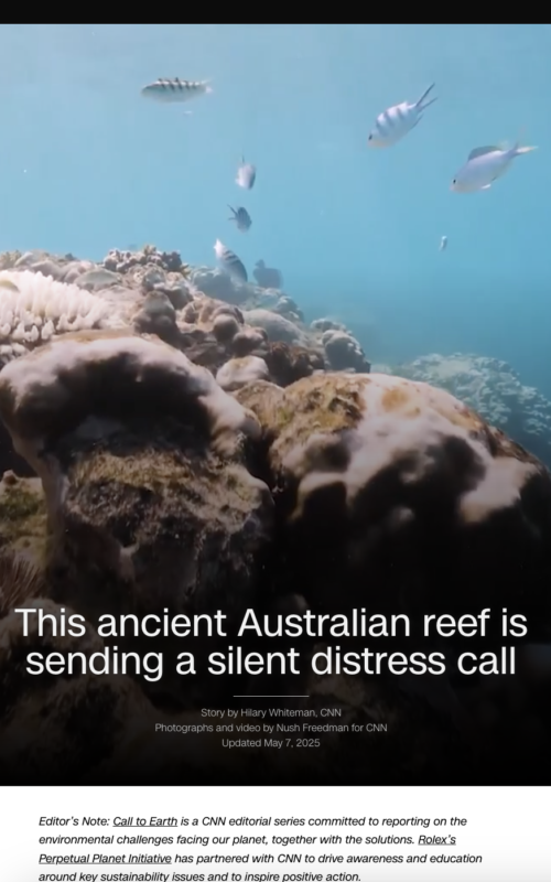 This ancient Australian reef is sending a silent distress call