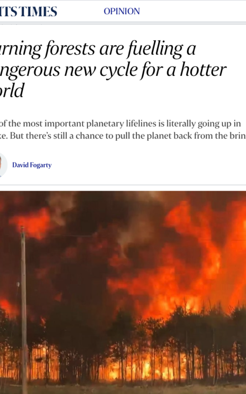 Burning forests are fuelling a dangerous new cycle for a hotter world