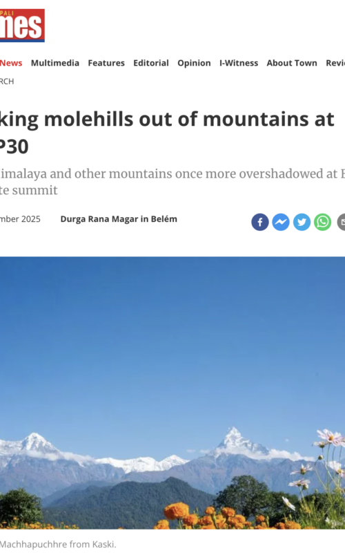 Making molehills out of mountains at COP30