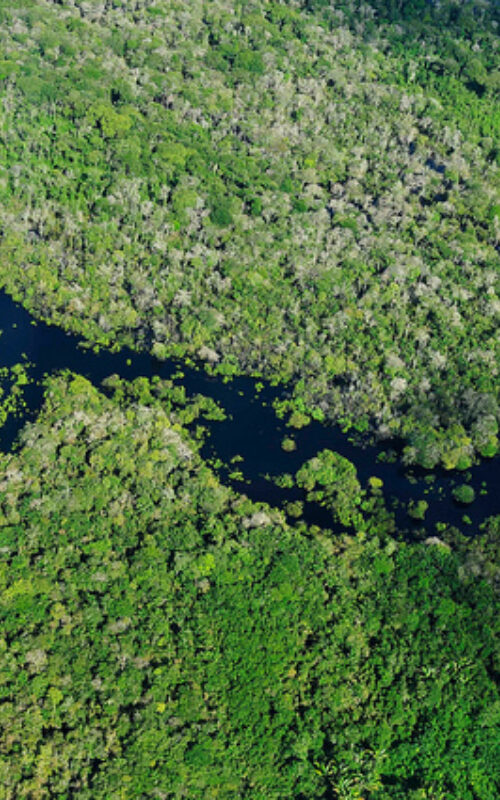 Large South American governments could take more climate action: analysis