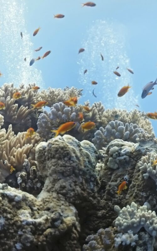 UN report: 1.5°C limit to improve growth, jobs and safety