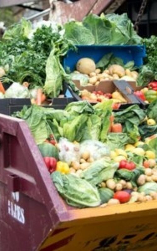 Reducing food waste and changing diet could drastically reduce agricultural emissions