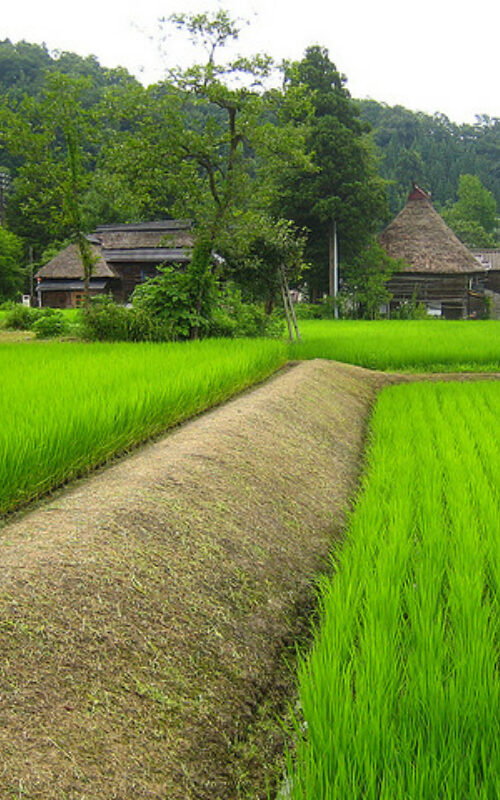 If target confirmed, Japan would join Russia with an “inadequate” climate pledge, putting world on path to 3-4°C warming - Climate Action Tracker