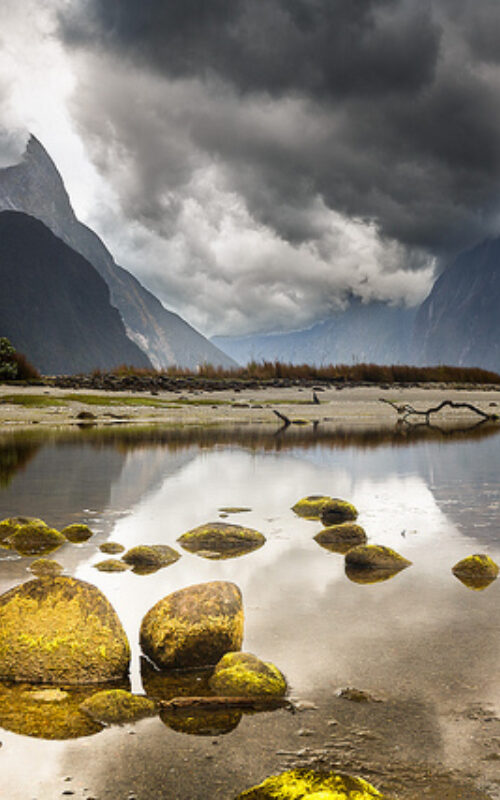 New Zealand climate target “inadequate” and “far from doing its fair share”