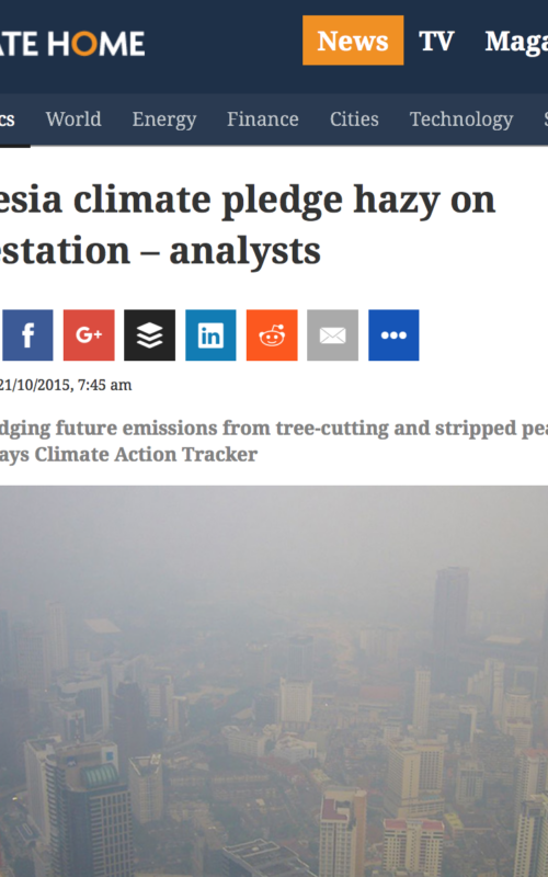 Indonesia climate pledge hazy on deforestation – analysts