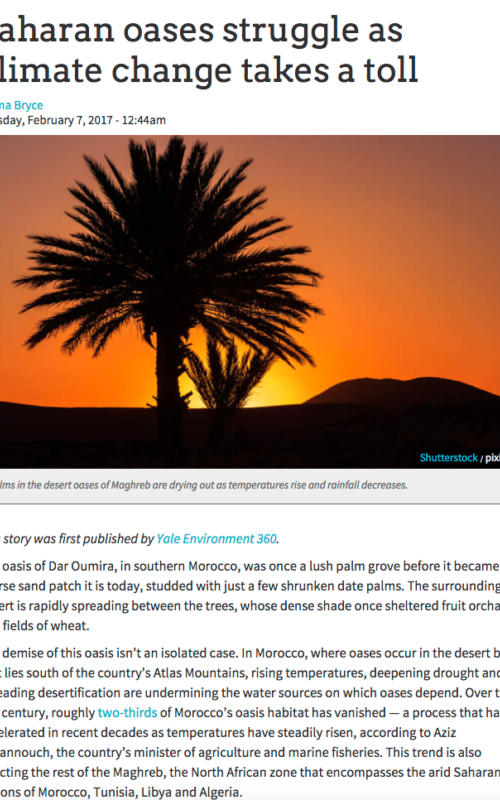 Saharan oases struggle as climate change takes a toll