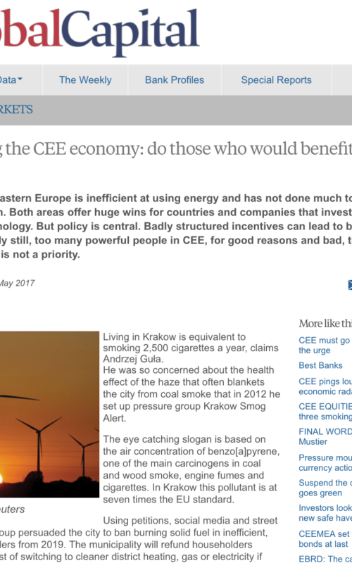 Greening the Central and Eastern European Economy: do those who would benefit see the point?