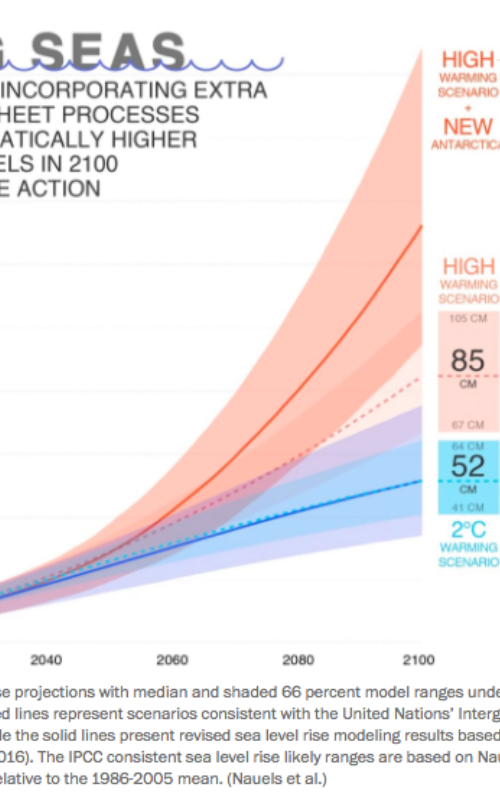 Sea levels could rise by 1.3m in 2100 without climate action – new study