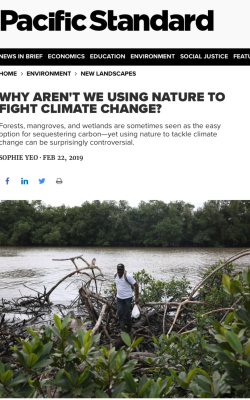 Why aren't we using more nature-based solutions to fight climate change?