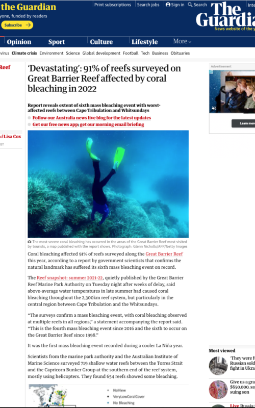 ‘Devastating’: 91% of reefs surveyed on Great Barrier Reef affected by coral bleaching in 2022