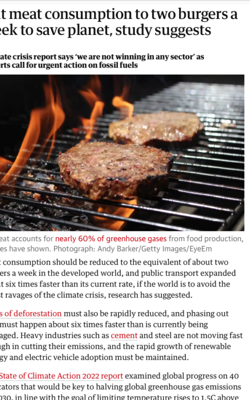Cut meat consumption to two burgers a week to save planet, study suggests