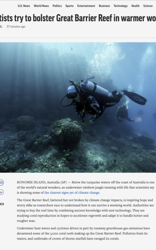 Scientists try to bolster Great Barrier Reef in warmer world