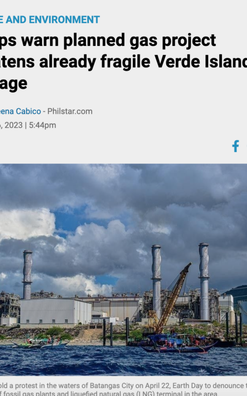 Groups warn planned gas project threatens already fragile Verde Island Passage