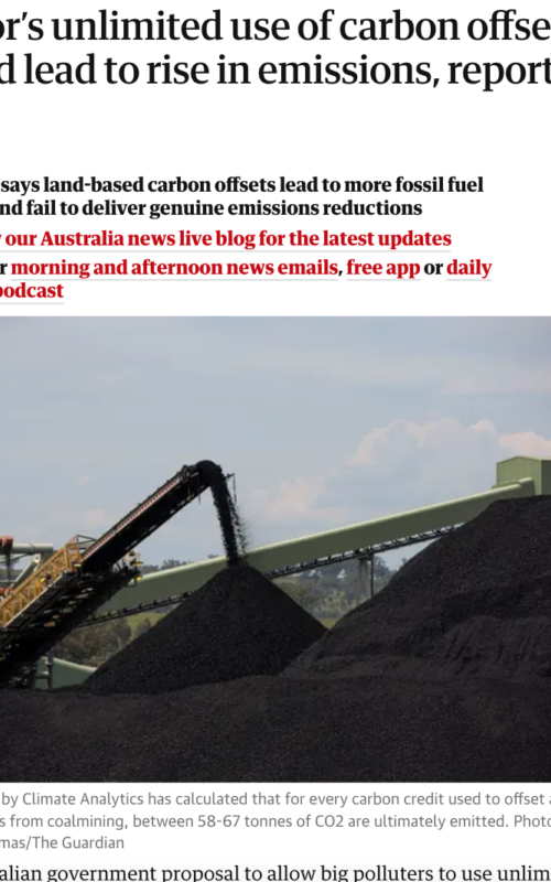 Labor’s unlimited use of carbon offsets could lead to rise in emissions, report says
