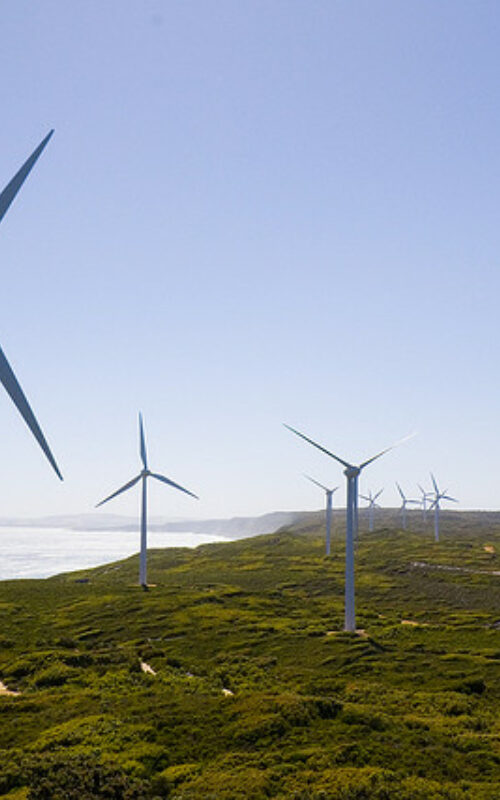 Coal's rapid phase-out essential, not enough to stay below 2°C warming