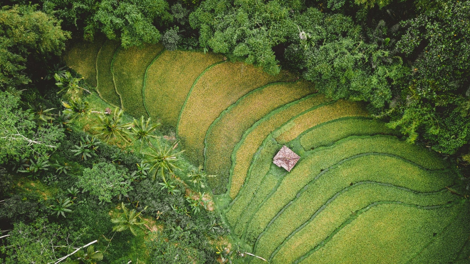 LAMACLIMA workshop - learnings on land cover and climate