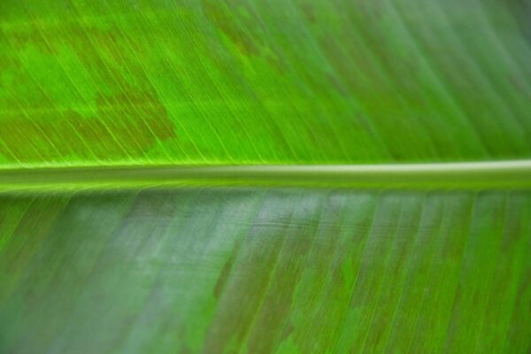 Joran quinten KON9v Ts2 Yek unsplash