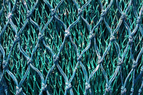 Fishing net